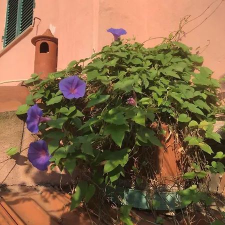 Casa-Anna Holiday home Alassio